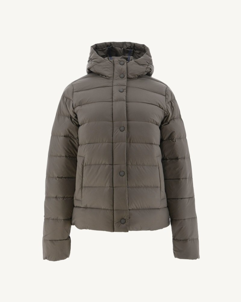 Grey Brown JOTT Jane Straight Hooded Women's Padded Jackets | ZWP-3056