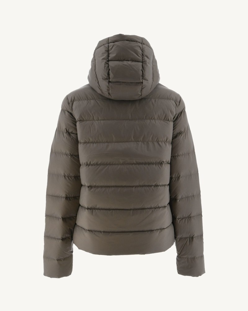 Grey Brown JOTT Jane Straight Hooded Women's Padded Jackets | ZWP-3056