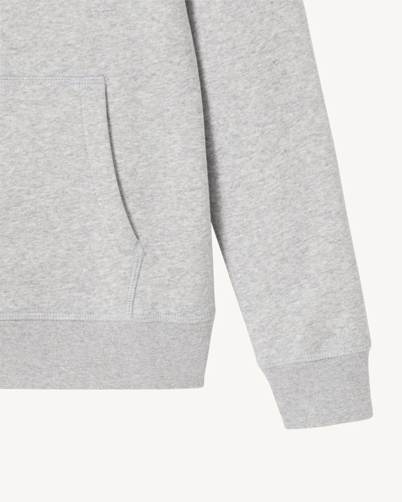 Grey JOTT Livia Women's Hoodie | OZI-6239