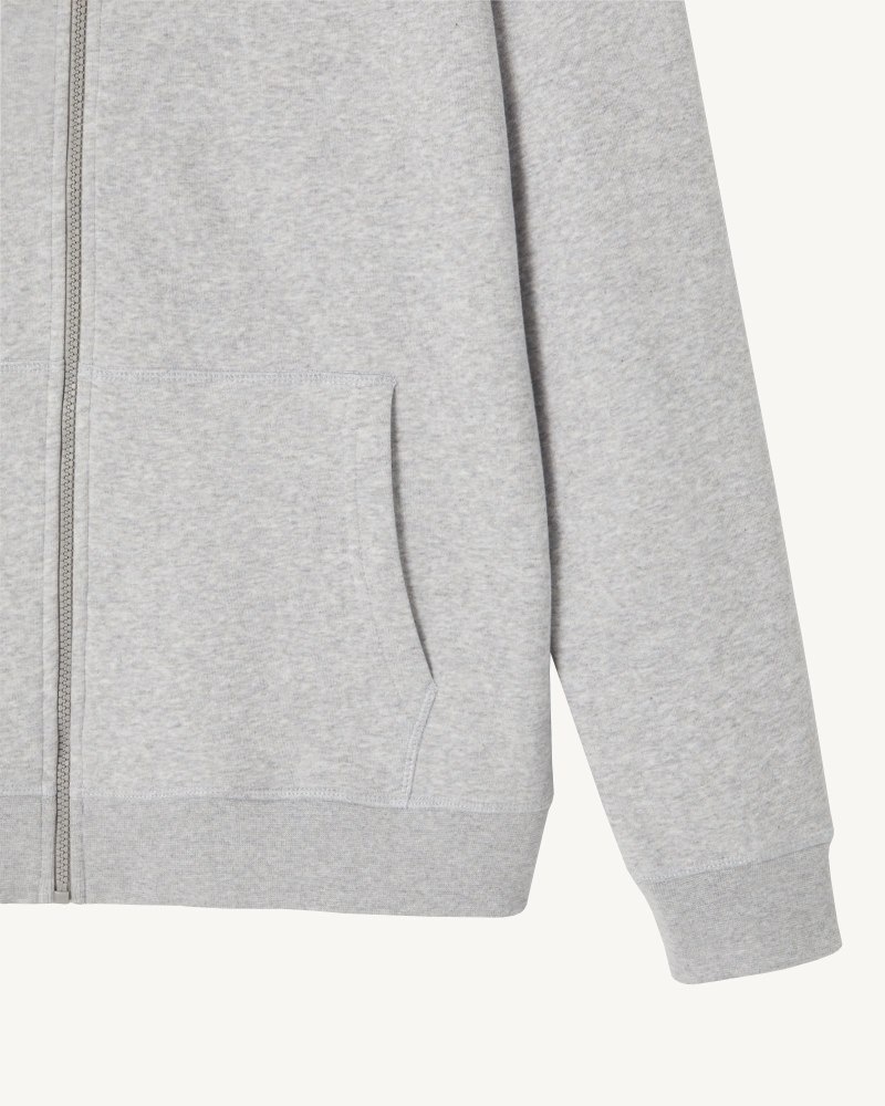 Grey JOTT Mexico Men's Hoodie | AWN-4912