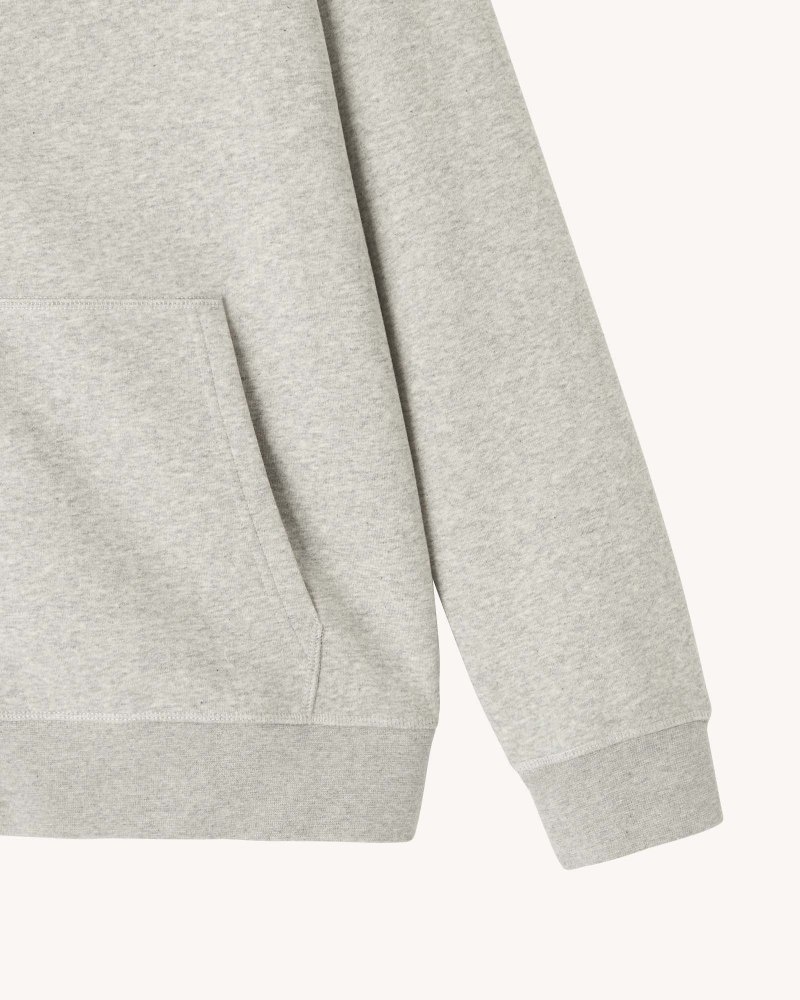 Grey JOTT Mexico Men's Hoodie | WTM-6028