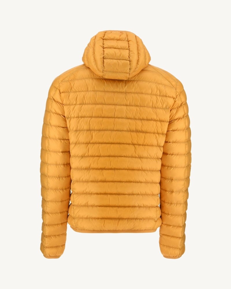 Mustard JOTT Nico Light Hooded Men's Down Jackets | TPO-9866