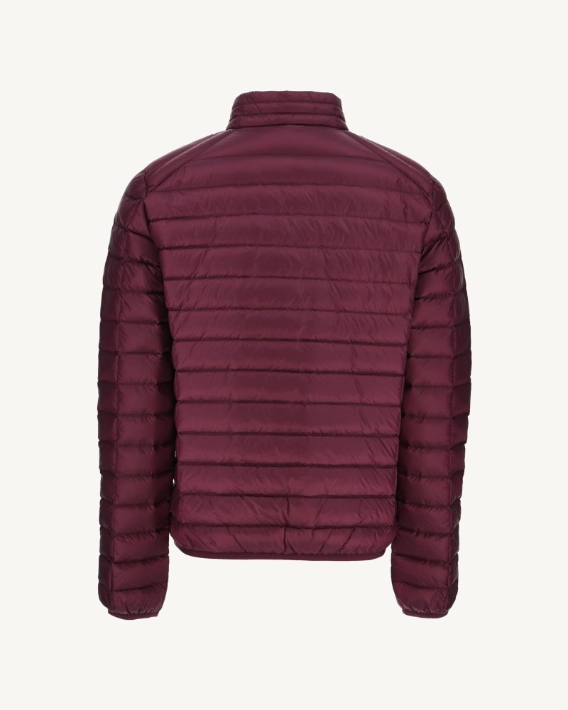 Purple JOTT Eggplant Mat Light Men's Padded Jackets | BLG-7965