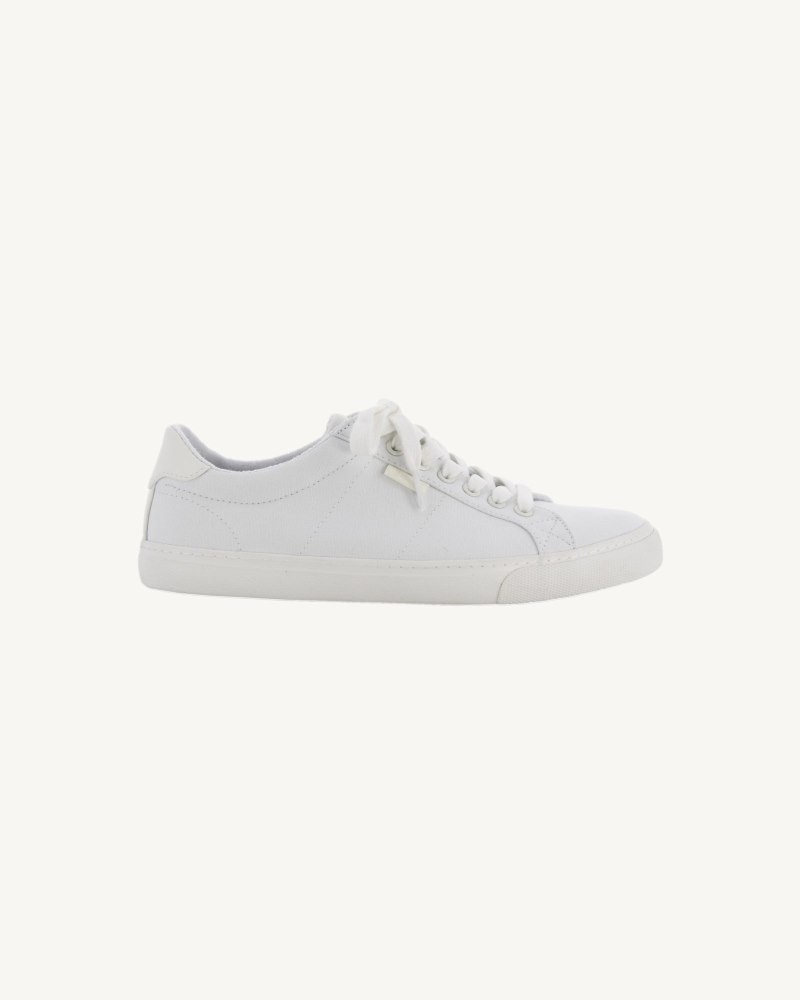 White JOTT Horizon Canvas Men's Trainers | BCT-0702