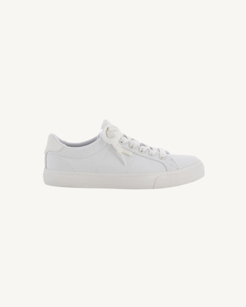 White JOTT Horizon W Canvas Women's Trainers | CDG-0200